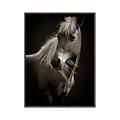 Picture of Ebony, the Horse _GroupedProduct_Rectangle_Portrait_Photography _GroupedProduct_Rectangle_Portrait_Canvas_Framed_