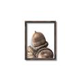 Picture of Fallen Acorns _GroupedProduct_Rectangle_Portrait_Photography _GroupedProduct_Rectangle_Portrait_Canvas_Framed_