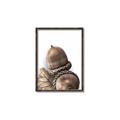 Picture of Fallen Acorns _GroupedProduct_Rectangle_Portrait_Photography _GroupedProduct_Rectangle_Portrait_Canvas_Framed_