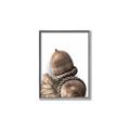Picture of Fallen Acorns _GroupedProduct_Rectangle_Portrait_Photography _GroupedProduct_Rectangle_Portrait_Canvas_Framed_