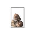 Picture of Fallen Acorns _GroupedProduct_Rectangle_Portrait_Photography _GroupedProduct_Rectangle_Portrait_Canvas_Framed_