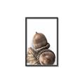 Picture of Fallen Acorns _GroupedProduct_Rectangle_Portrait_Photography _GroupedProduct_Rectangle_Portrait_Canvas_Framed_