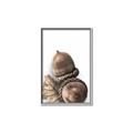 Picture of Fallen Acorns _GroupedProduct_Rectangle_Portrait_Photography _GroupedProduct_Rectangle_Portrait_Canvas_Framed_