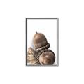 Picture of Fallen Acorns _GroupedProduct_Rectangle_Portrait_Photography _GroupedProduct_Rectangle_Portrait_Canvas_Framed_