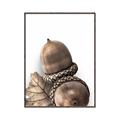 Picture of Fallen Acorns _GroupedProduct_Rectangle_Portrait_Photography _GroupedProduct_Rectangle_Portrait_Canvas_Framed_
