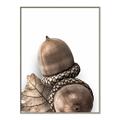Picture of Fallen Acorns _GroupedProduct_Rectangle_Portrait_Photography _GroupedProduct_Rectangle_Portrait_Canvas_Framed_