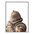 Picture of Fallen Acorns _GroupedProduct_Rectangle_Portrait_Photography _GroupedProduct_Rectangle_Portrait_Canvas_Framed_