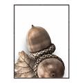 Picture of Fallen Acorns _GroupedProduct_Rectangle_Portrait_Photography _GroupedProduct_Rectangle_Portrait_Canvas_Framed_