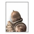 Picture of Fallen Acorns _GroupedProduct_Rectangle_Portrait_Photography _GroupedProduct_Rectangle_Portrait_Canvas_Framed_
