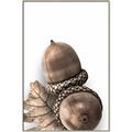 Picture of Fallen Acorns _GroupedProduct_Rectangle_Portrait_Photography _GroupedProduct_Rectangle_Portrait_Canvas_Framed_