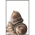 Picture of Fallen Acorns _GroupedProduct_Rectangle_Portrait_Photography _GroupedProduct_Rectangle_Portrait_Canvas_Framed_