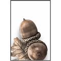 Picture of Fallen Acorns _GroupedProduct_Rectangle_Portrait_Photography _GroupedProduct_Rectangle_Portrait_Canvas_Framed_