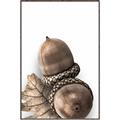 Picture of Fallen Acorns _GroupedProduct_Rectangle_Portrait_Photography _GroupedProduct_Rectangle_Portrait_Canvas_Framed_