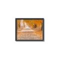 Picture of Falling Leaves  _GroupedProduct_Rectangle_Landscape_Photography _GroupedProduct_Rectangle_Landscape_Canvas_Framed_