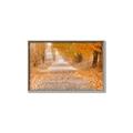 Picture of Falling Leaves  _GroupedProduct_Rectangle_Landscape_Photography _GroupedProduct_Rectangle_Landscape_Canvas_Framed_