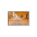 Picture of Falling Leaves  _GroupedProduct_Rectangle_Landscape_Photography _GroupedProduct_Rectangle_Landscape_Canvas_Framed_
