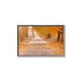 Picture of Falling Leaves  _GroupedProduct_Rectangle_Landscape_Photography _GroupedProduct_Rectangle_Landscape_Canvas_Framed_