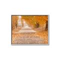 Picture of Falling Leaves  _GroupedProduct_Rectangle_Landscape_Photography _GroupedProduct_Rectangle_Landscape_Canvas_Framed_