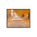 Picture of Falling Leaves  _GroupedProduct_Rectangle_Landscape_Photography _GroupedProduct_Rectangle_Landscape_Canvas_Framed_