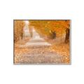 Picture of Falling Leaves  _GroupedProduct_Rectangle_Landscape_Photography _GroupedProduct_Rectangle_Landscape_Canvas_Framed_