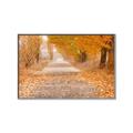 Picture of Falling Leaves  _GroupedProduct_Rectangle_Landscape_Photography _GroupedProduct_Rectangle_Landscape_Canvas_Framed_