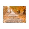Picture of Falling Leaves  _GroupedProduct_Rectangle_Landscape_Photography _GroupedProduct_Rectangle_Landscape_Canvas_Framed_