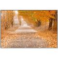 Picture of Falling Leaves  _GroupedProduct_Rectangle_Landscape_Photography _GroupedProduct_Rectangle_Landscape_Canvas_Framed_