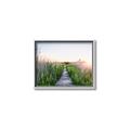 Picture of Field of Dreams   _GroupedProduct_Rectangle_Landscape_Photography _GroupedProduct_Rectangle_Landscape_Canvas_Framed_