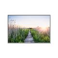 Picture of Field of Dreams   _GroupedProduct_Rectangle_Landscape_Photography _GroupedProduct_Rectangle_Landscape_Canvas_Framed_