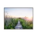 Picture of Field of Dreams   _GroupedProduct_Rectangle_Landscape_Photography _GroupedProduct_Rectangle_Landscape_Canvas_Framed_