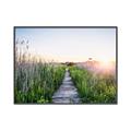 Picture of Field of Dreams   _GroupedProduct_Rectangle_Landscape_Photography _GroupedProduct_Rectangle_Landscape_Canvas_Framed_