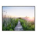 Picture of Field of Dreams   _GroupedProduct_Rectangle_Landscape_Photography _GroupedProduct_Rectangle_Landscape_Canvas_Framed_