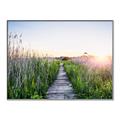 Picture of Field of Dreams   _GroupedProduct_Rectangle_Landscape_Photography _GroupedProduct_Rectangle_Landscape_Canvas_Framed_