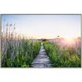 Picture of Field of Dreams   _GroupedProduct_Rectangle_Landscape_Photography _GroupedProduct_Rectangle_Landscape_Canvas_Framed_
