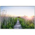 Picture of Field of Dreams   _GroupedProduct_Rectangle_Landscape_Photography _GroupedProduct_Rectangle_Landscape_Canvas_Framed_