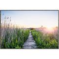 Picture of Field of Dreams   _GroupedProduct_Rectangle_Landscape_Photography _GroupedProduct_Rectangle_Landscape_Canvas_Framed_