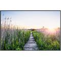 Picture of Field of Dreams   _GroupedProduct_Rectangle_Landscape_Photography _GroupedProduct_Rectangle_Landscape_Canvas_Framed_