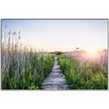 Picture of Field of Dreams   _GroupedProduct_Rectangle_Landscape_Photography _GroupedProduct_Rectangle_Landscape_Canvas_Framed_