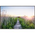 Picture of Field of Dreams   _GroupedProduct_Rectangle_Landscape_Photography _GroupedProduct_Rectangle_Landscape_Canvas_Framed_