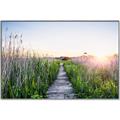 Picture of Field of Dreams   _GroupedProduct_Rectangle_Landscape_Photography _GroupedProduct_Rectangle_Landscape_Canvas_Framed_