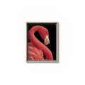 Picture of Flamingo Flame _GroupedProduct_Rectangle_Portrait_Photography _GroupedProduct_Rectangle_Portrait_Canvas_Framed_