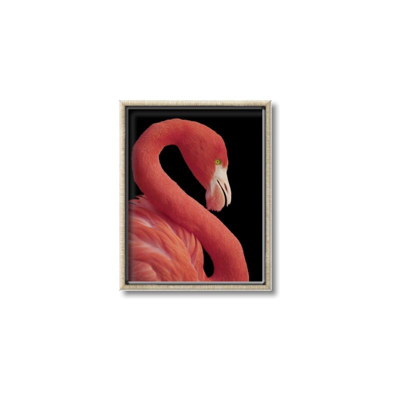 Picture of Flamingo Flame _GroupedProduct_Rectangle_Portrait_Photography _GroupedProduct_Rectangle_Portrait_Canvas_Framed_