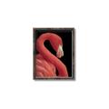 Picture of Flamingo Flame _GroupedProduct_Rectangle_Portrait_Photography _GroupedProduct_Rectangle_Portrait_Canvas_Framed_