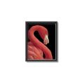 Picture of Flamingo Flame _GroupedProduct_Rectangle_Portrait_Photography _GroupedProduct_Rectangle_Portrait_Canvas_Framed_