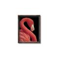 Picture of Flamingo Flame _GroupedProduct_Rectangle_Portrait_Photography _GroupedProduct_Rectangle_Portrait_Canvas_Framed_