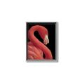 Picture of Flamingo Flame _GroupedProduct_Rectangle_Portrait_Photography _GroupedProduct_Rectangle_Portrait_Canvas_Framed_