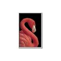 Picture of Flamingo Flame _GroupedProduct_Rectangle_Portrait_Photography _GroupedProduct_Rectangle_Portrait_Canvas_Framed_