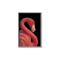Picture of Flamingo Flame _GroupedProduct_Rectangle_Portrait_Photography _GroupedProduct_Rectangle_Portrait_Canvas_Framed_