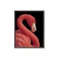 Picture of Flamingo Flame _GroupedProduct_Rectangle_Portrait_Photography _GroupedProduct_Rectangle_Portrait_Canvas_Framed_