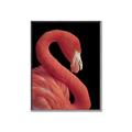 Picture of Flamingo Flame _GroupedProduct_Rectangle_Portrait_Photography _GroupedProduct_Rectangle_Portrait_Canvas_Framed_